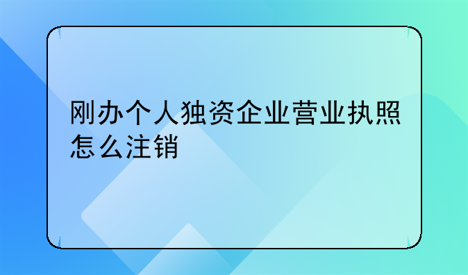 刚办个人独资企业营业执照怎么注销