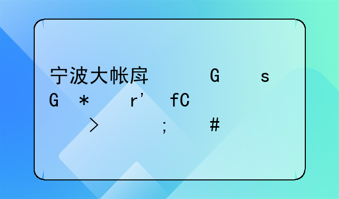 宁波大帐房网络科技有限公司怎么样