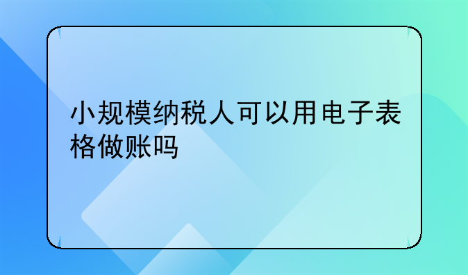 小规模纳税人可以用电子表格做账吗