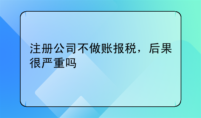 注册公司不做账报税，后果很严重吗