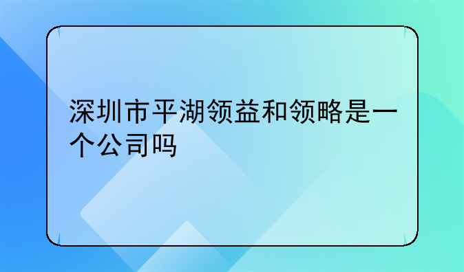 深圳市平湖领益和领略是一个公司吗