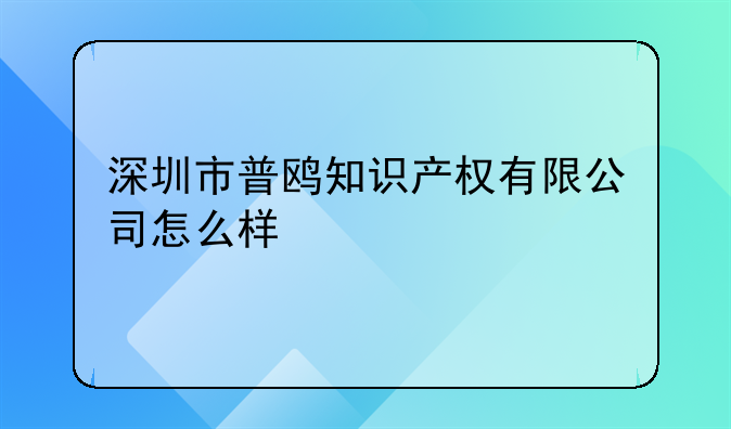 深圳市普鸥知识产权有限公司怎么样