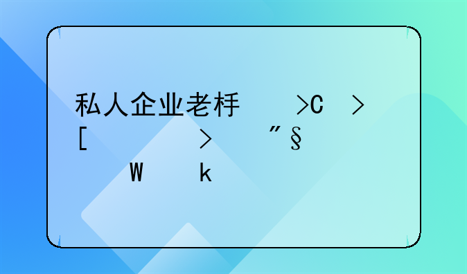 私人企业老板提取公司利润如何做账