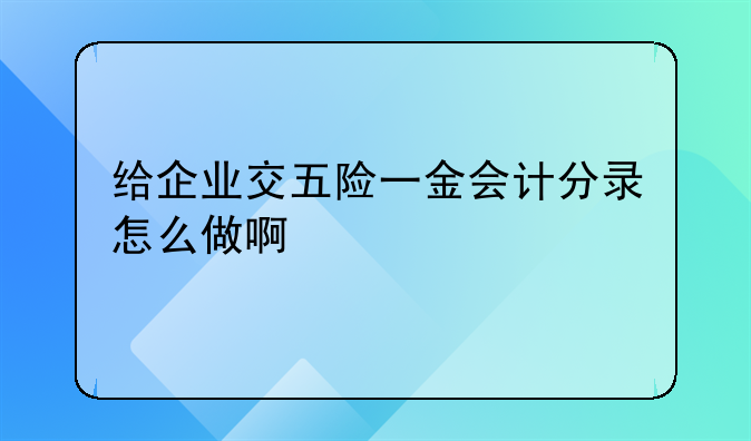 给企业交五险一金会计分录怎么做啊
