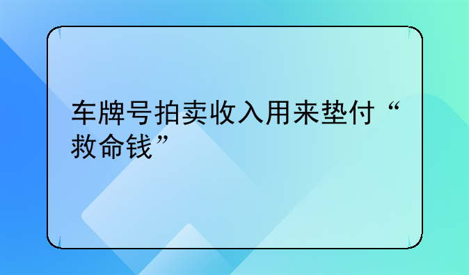 车牌号拍卖收入用来垫付“救命钱”