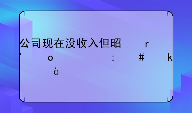 公司现在没收入但是有进项怎么做账？