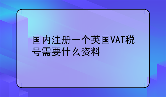 国内注册一个英国VAT税号需要什么资料