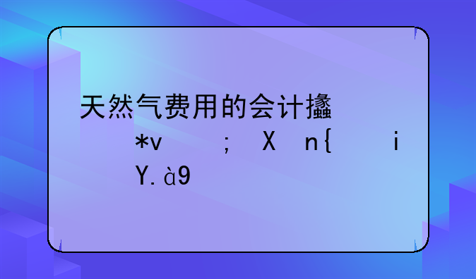 天然气费用的会计支出功能分类是什么