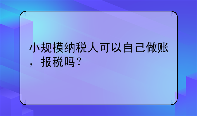 小规模纳税人可以自己做账,报税吗?