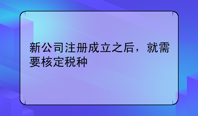 新公司注册成立之后，就需要核定税种