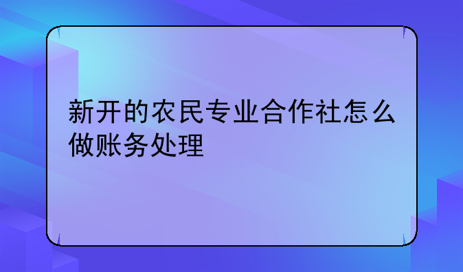 新开的农民专业合作社怎么做账务处理