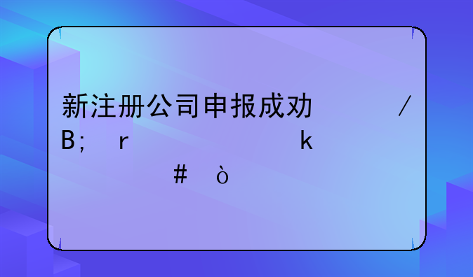 新注册公司申报成功之后需要做什么？