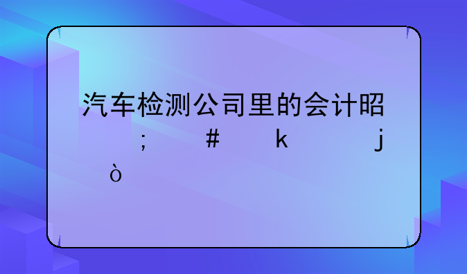 汽车检测公司里的会计是怎么做账的？