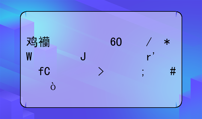 鸡西市卓立投资咨询有限公司怎么样？