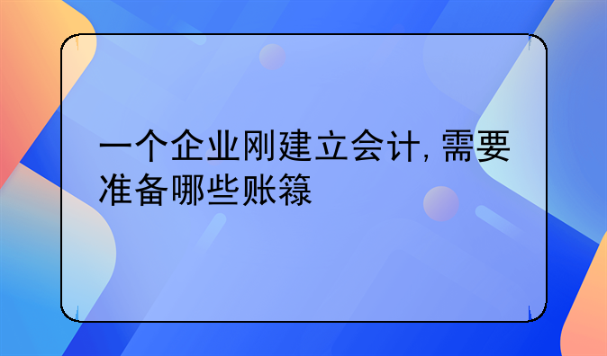 一个企业刚建立会计,需要准备哪些账簿?