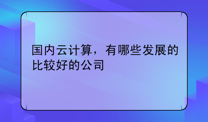 国内云计算,有哪些发展的比较好的公司