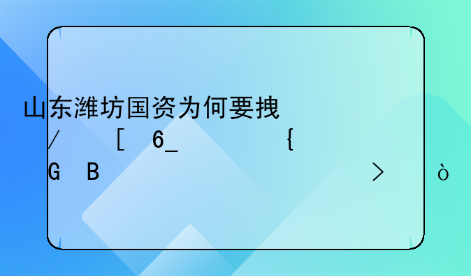 山东潍坊国资为何要拿下湖南郴州一家民营上市公司？