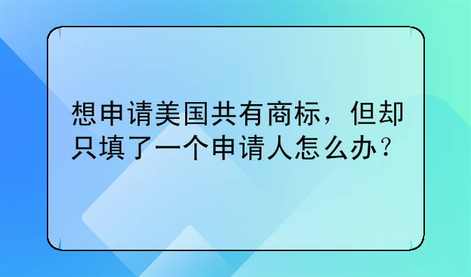 想申请美国共有商标，但却只填了一个申请人怎么办？