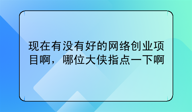 现在有没有好的网络创业项目啊，哪位大侠指点一下啊