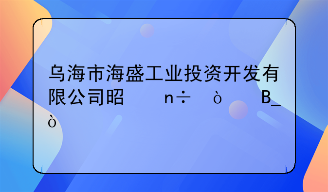 乌海市海盛工业投资开发有限公司是国企吗？