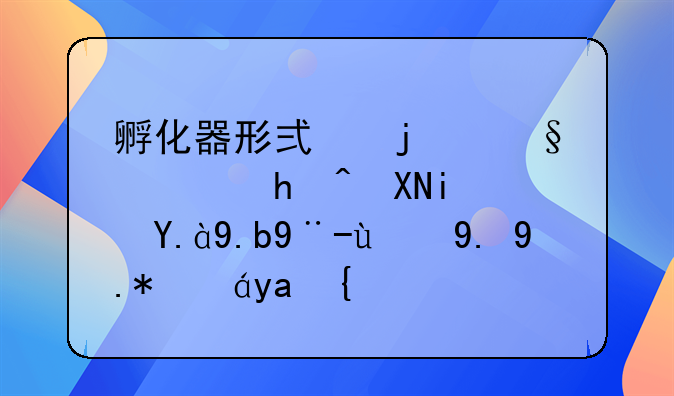 孵化器形式的天使投资是什么样的一个情况？