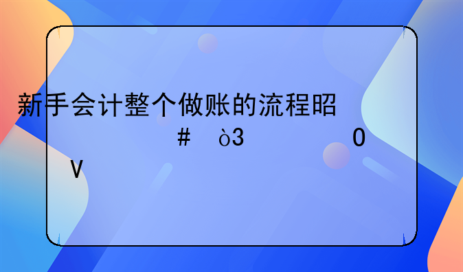 新手会计整个做账的流程是什么，具体一点啊