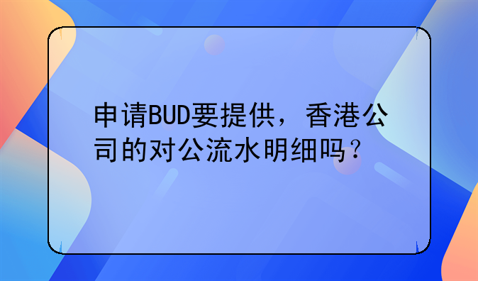 申请BUD要提供,香港公司的对公流水明细吗?