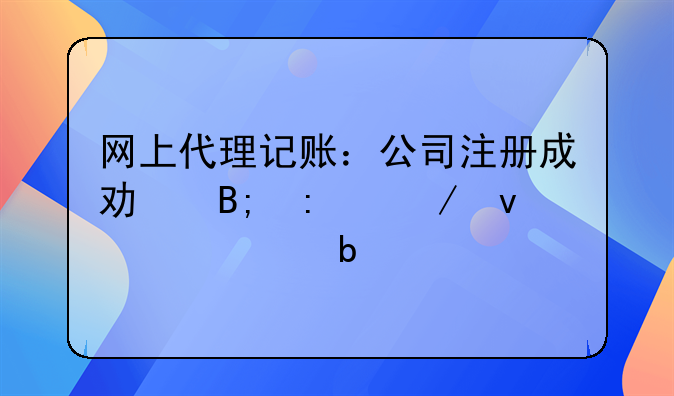 网上代理记账：公司注册完后，接下来该怎么报税呢?.以前是手工做账现