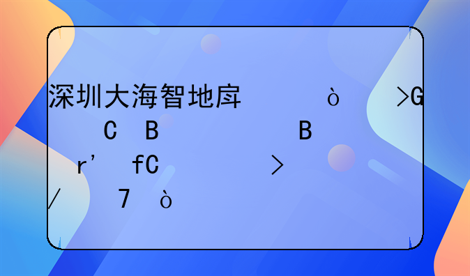 深圳大海智地房产开发运营管理有限公司介绍？