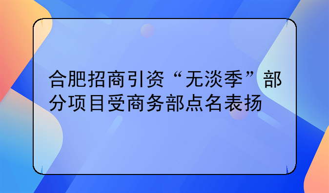 合肥招商引资“无淡季”部分项目受商务部点名表扬
