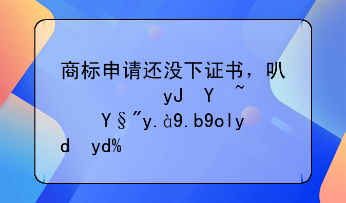 商标申请还没下证书，可以使用吗？有什么影响吗？