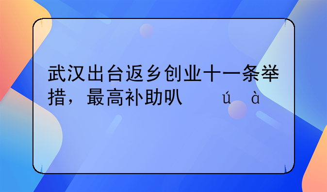武汉出台返乡创业十一条举措，最高补助可达800万元