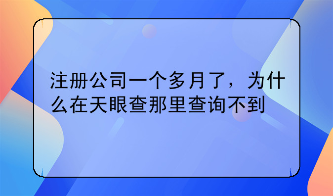 注册公司一个多月了，为什么在天眼查那里查询不到