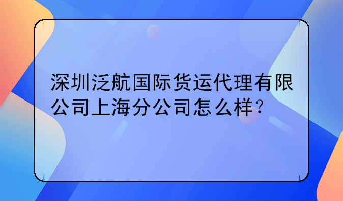深圳泛航国际货运代理有限公司上海分公司怎么样？