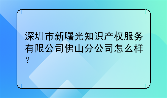 深圳市新曙光知识产权服务有限公司佛山分公司怎么样?