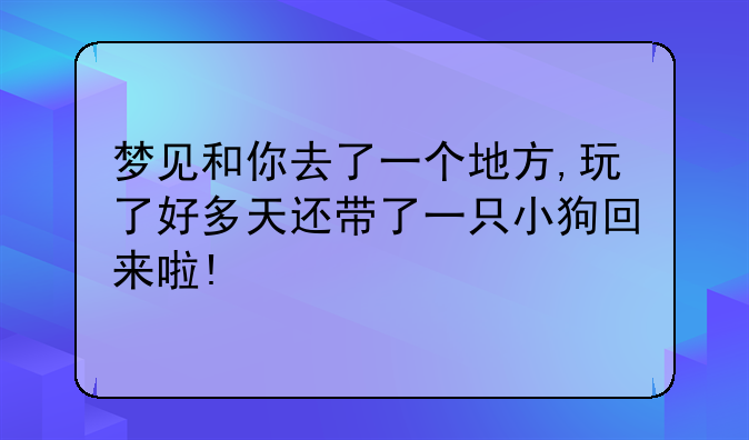 梦见和你去了一个地方,玩了好多天还带了一只小狗回来啦!