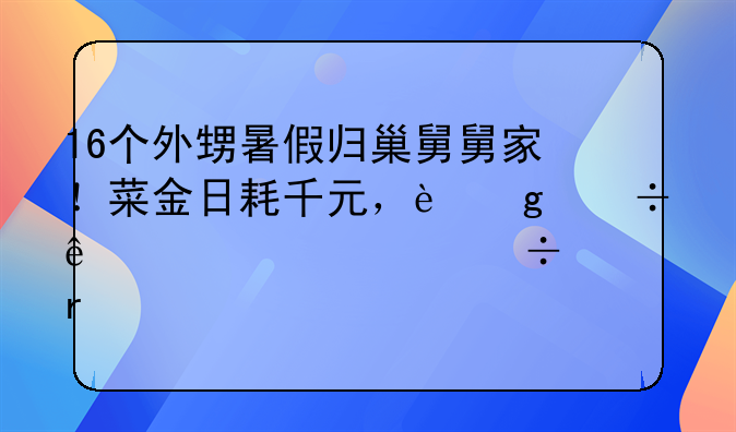 16个外甥暑假归巢舅舅家！菜金日耗千元，这份亲情几家能有