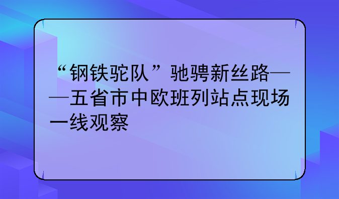 “钢铁驼队”驰骋新丝路——五省市中欧班列站点现场一线观察