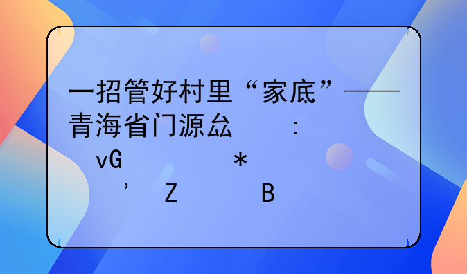 一招管好村里“家底”——青海省门源县探索村级财务第三方代理记账