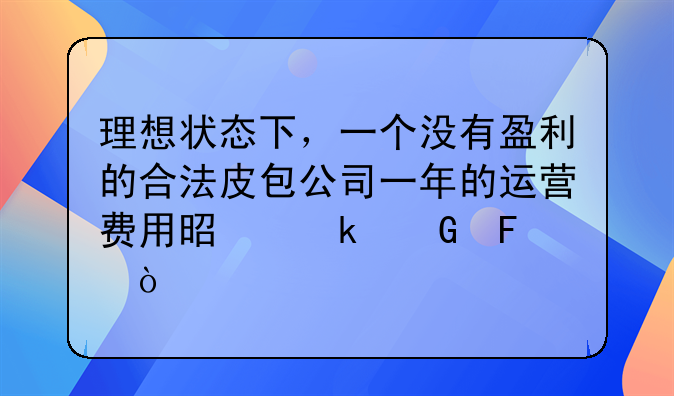 理想状态下，一个没有盈利的合法皮包公司一年的运营费用是多少呢？