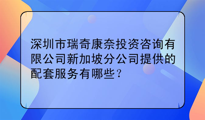 深圳市瑞奇康奈投资咨询有限公司新加坡分公司提供的配套服务有哪些