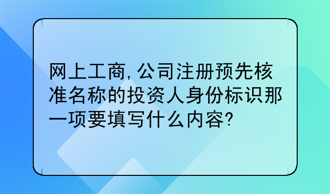 网上工商,公司注册预先核准名称的投资人身份标识那一项要填写什么内