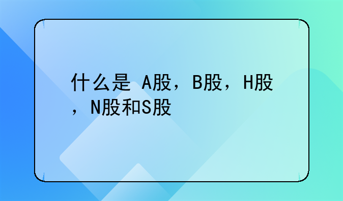 什么是 A股，B股，H股，N股和S股