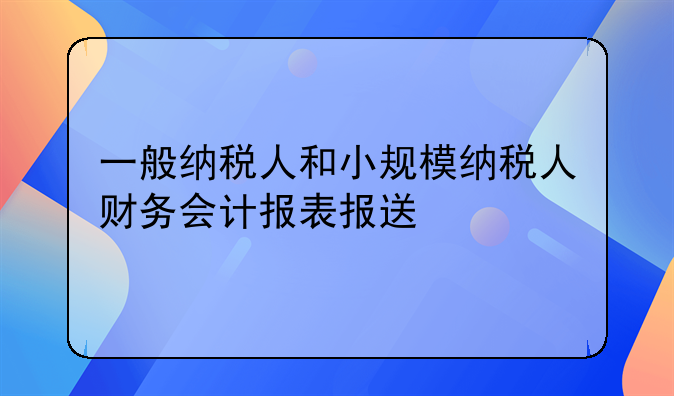 一般纳税人和小规模纳税人财务会计报表报送