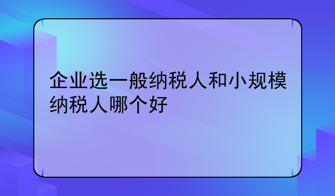 企业选一般纳税人和小规模纳税人哪个好