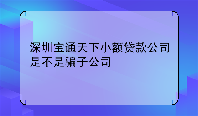 深圳宝通天下小额贷款公司是不是骗子公司