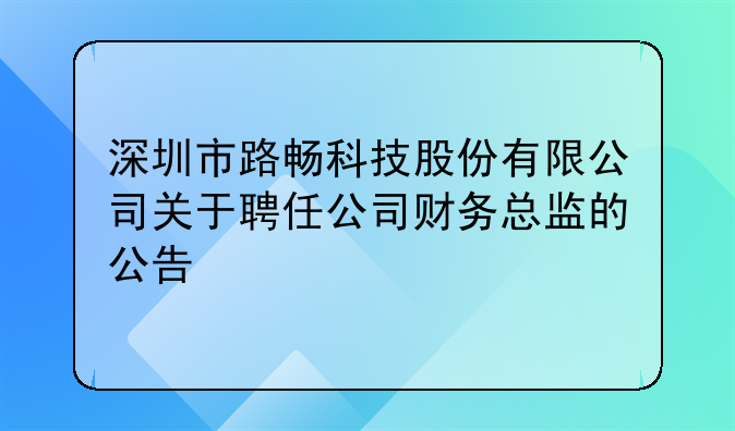 深圳市路畅科技股份有限公司关于聘任公司财务总监的公告