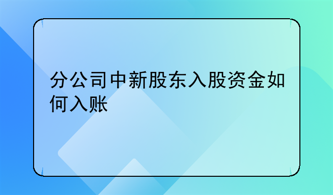 分公司中新股东入股资金如何入账